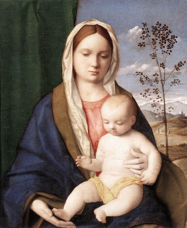 BELLINI, Giovanni Madonna and Child mmmnh oil painting image